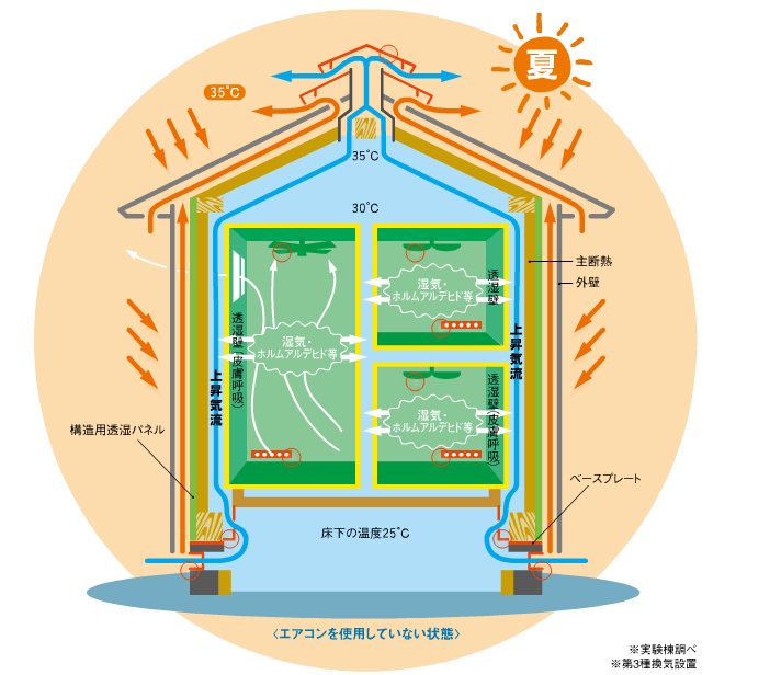 夏の模式図